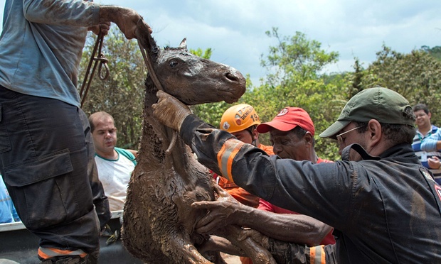 Спасатели потеряли надежду найти выживших после прорыва дамбы в Бразилии