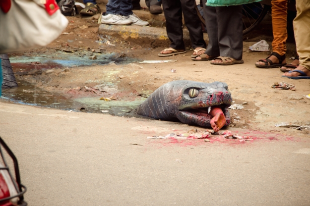 Гигантская анаконда сожрала человека на улице индийского города