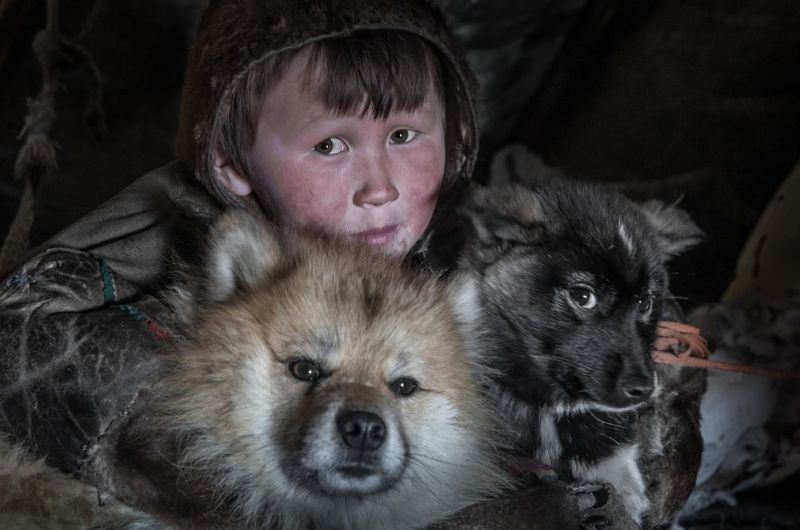 Как живут ненцы в Сибири: быт оленеводов