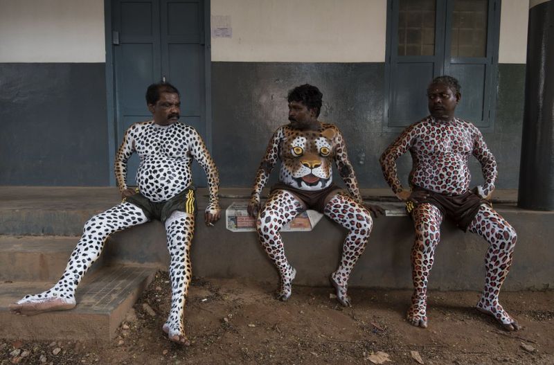 Пуликали: фото с ежегодного парада &quot;тигров&quot; в Индии