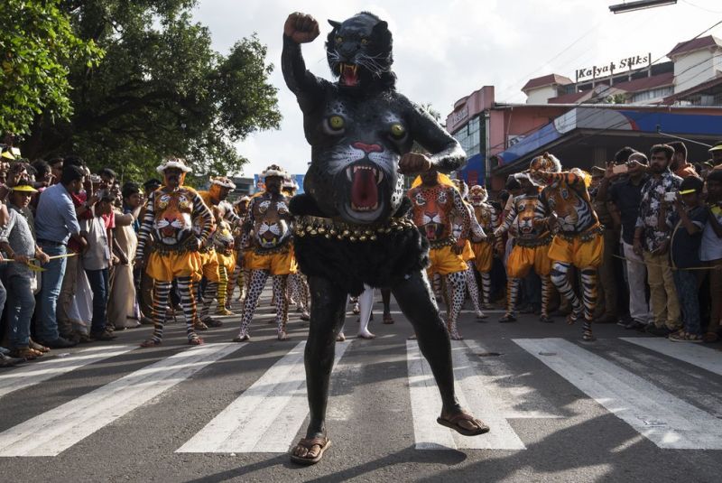 Пуликали: фото с ежегодного парада &quot;тигров&quot; в Индии