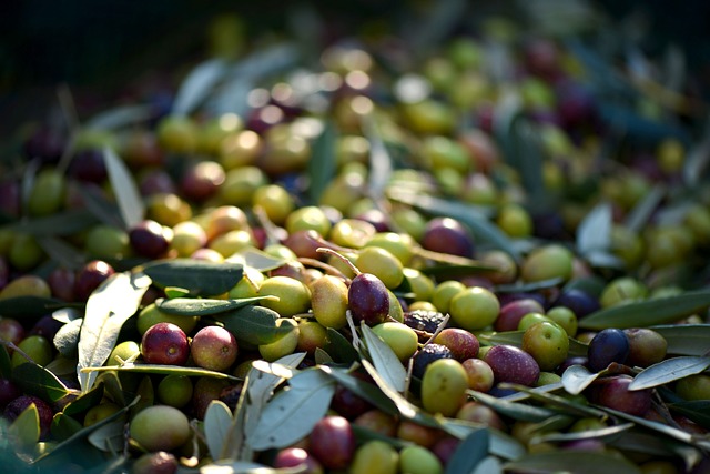 Маслины VS оливки: в чем разница