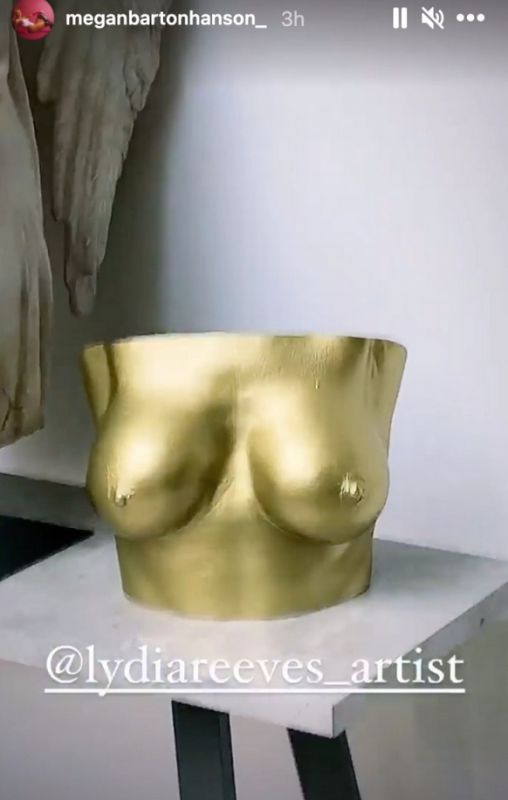 Меган Бартон Хансон сделала точную копию своей груди из золота