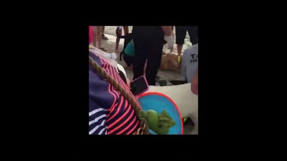 Разряд, адреналин, качаем: спасатели успешно провели сердечно-легочную реанимацию утонувшей собаке